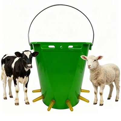 Schapen die plastic melkemmers gebruiken